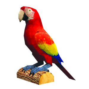 Папагал Ара